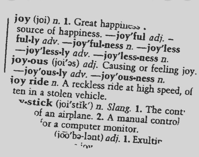 Joy definition